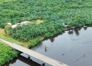 Pont sur le Nyong